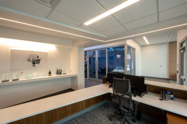 019_ICE-Buffalo_onionstudio